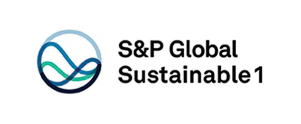 S&P Global Sustainability Award